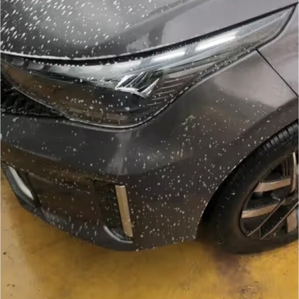 Lavado de carrocería y ruedas de un auto gris